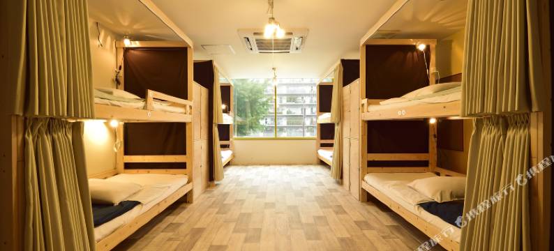 齐奥特青年旅舍(Hostel Chillout)图片