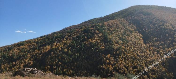 坝上草原顺缘度假村图片