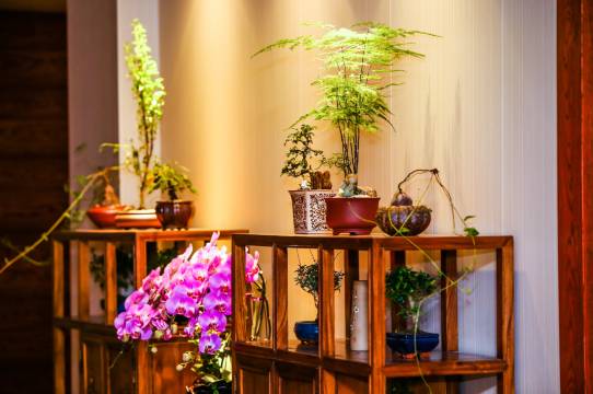 鹭岭花园酒店(重庆江北国际机场店)图片