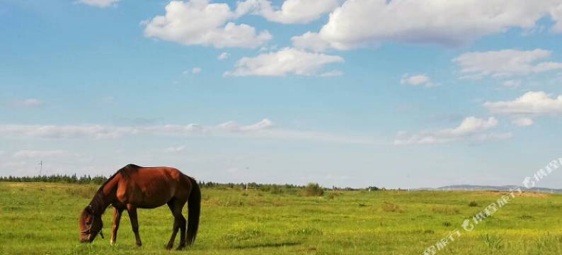 多伦鑫海公寓宾馆图片