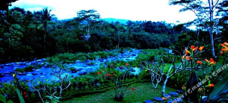 特皮桑盖旅馆(Tepi Sungai Guest House)图片