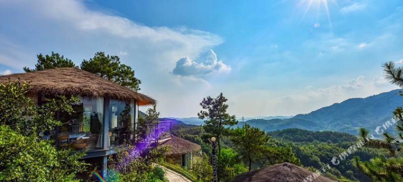 英山养心苑·野奢酒店图片