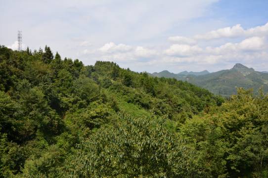 桐梓鸿福山庄酒店