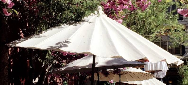 拉萨吉曲饭店(大昭寺八廓街店)图片