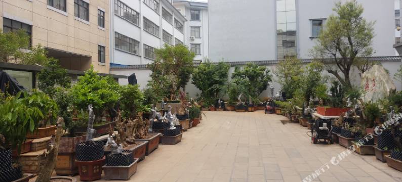 泸西盛源酒店图片