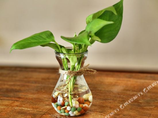 安吉廖志卫公寓