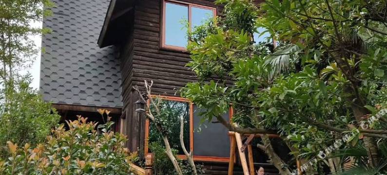 岱山龙舌兰山庄图片