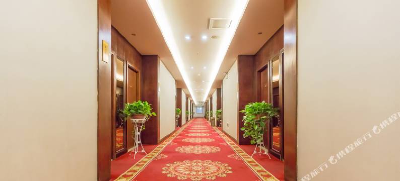 内乡龙飞宾馆图片