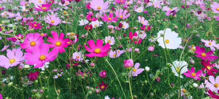 三门美勤民宿图片