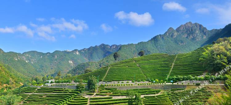梅州吉祥天大酒店图片