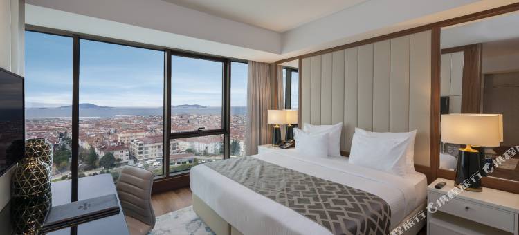 伊斯坦布尔库丘克亚勒精英世界大酒店(Elite World Grand Istanbul Küçükyalı)图片