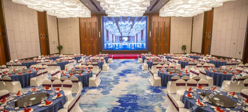 南京丽湖雅致空港酒店图片