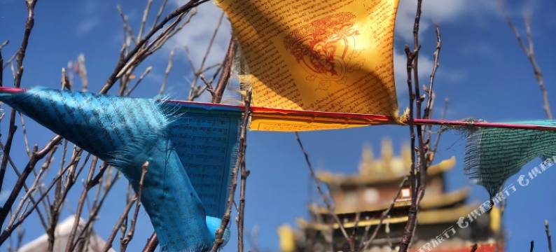 香格里拉老院子客栈图片