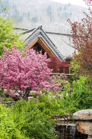 曲阜尼山书院酒店(尼山圣境店)图片