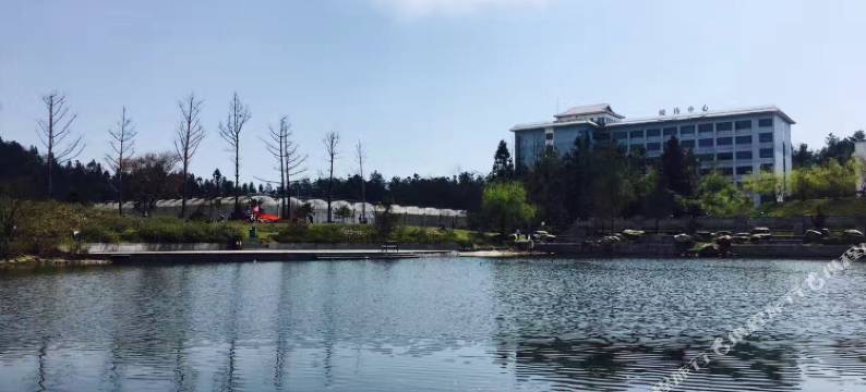 恩施忘尘峰大酒店图片