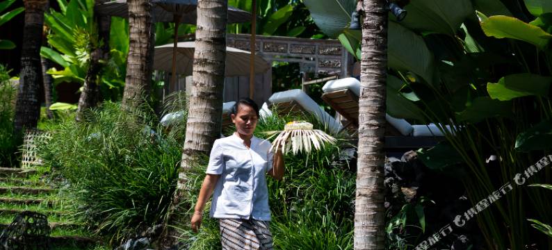 卡拉帕精品瑜珈度假村(Kalapa Boutique Resort & Yoga)图片