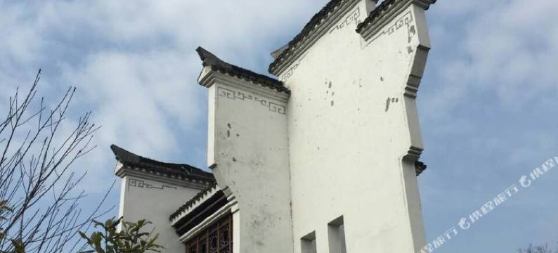 桐庐银杏树下客栈图片