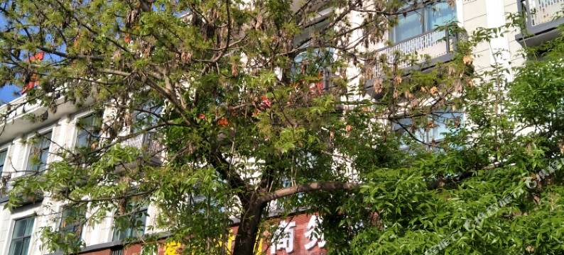 固原客家时尚商务酒店图片