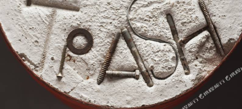 传世豪华酒店(Hotel Trash Deluxe)图片