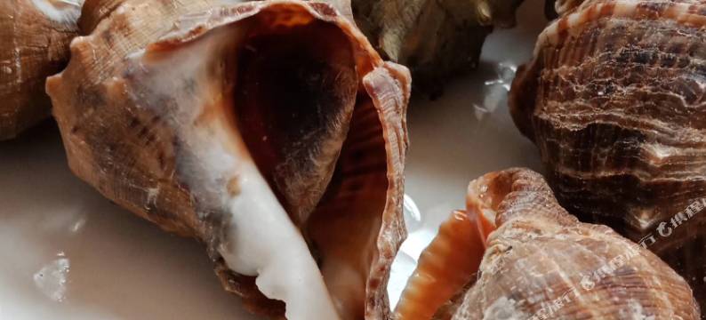 日照龙合渔家图片