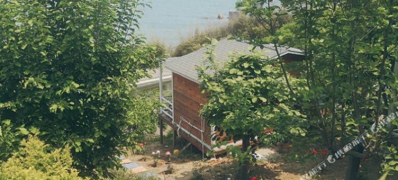 青岛海纳斯海景民宿图片