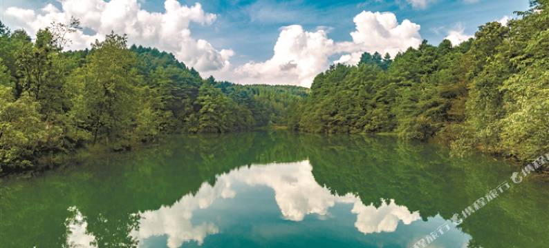 东方假日酒店(黔西市人民医院水西公园店)图片