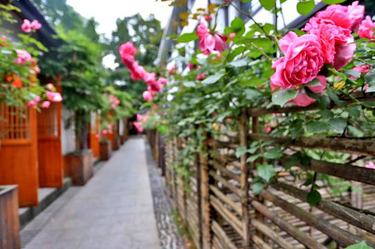 杭州殊胜龙井酒店(西湖灵隐店)图片