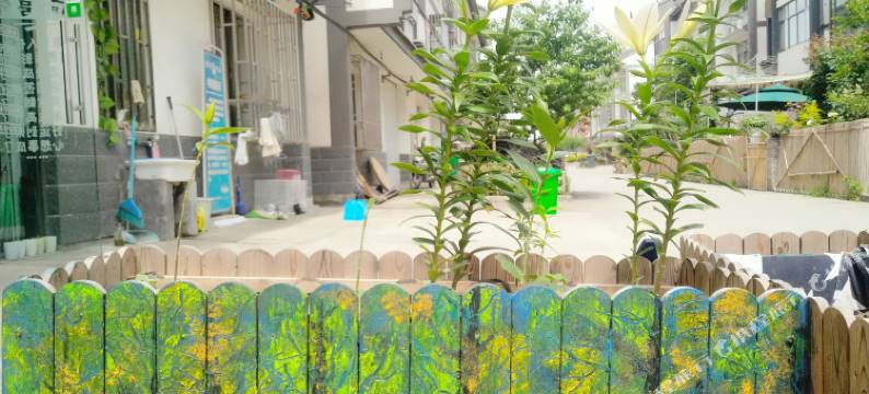 乌镇The One青年旅舍图片