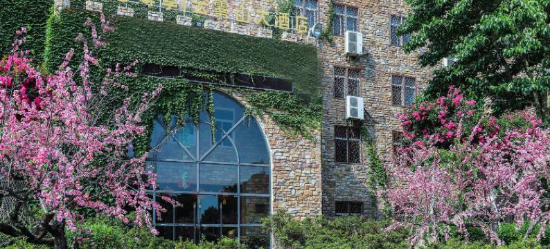 武汉云雾山酒店(木兰云雾山景区店)图片