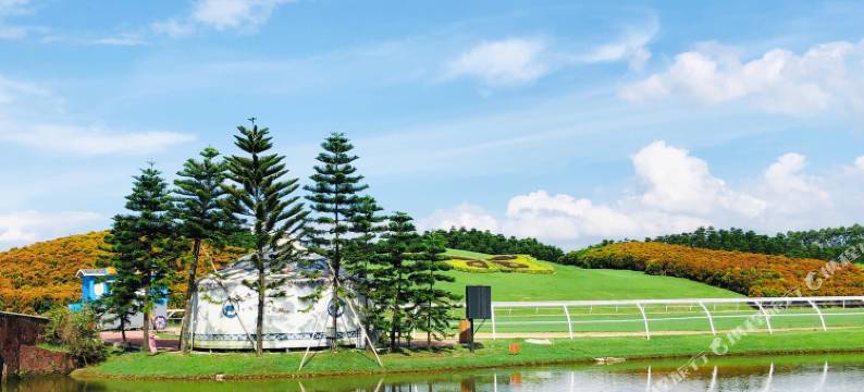 中山迪茵湖艺墅小筑别墅图片