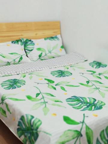 厦门freeJane公寓