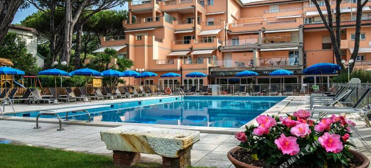 韦西利亚宫殿酒店(Versilia Palace Hotel)图片