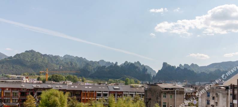 张家界天子大酒店(森林公园标志门店)图片