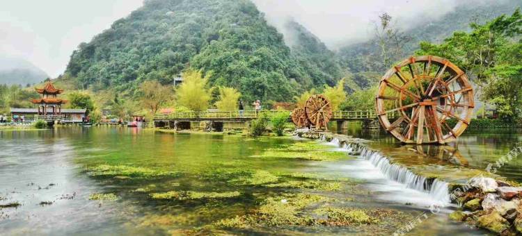 靖西佳琪民宿图片