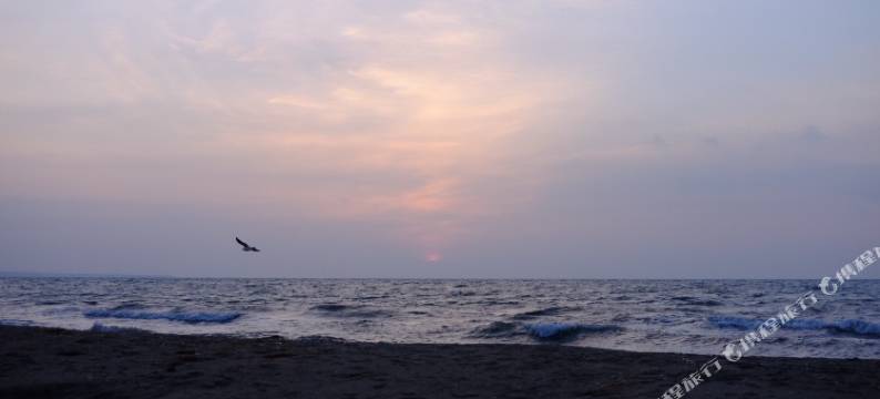 青海湖白天鹅宾馆图片