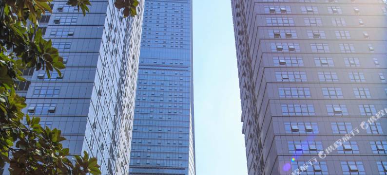 成都西金阁全套房公寓(春熙路太古里店)图片