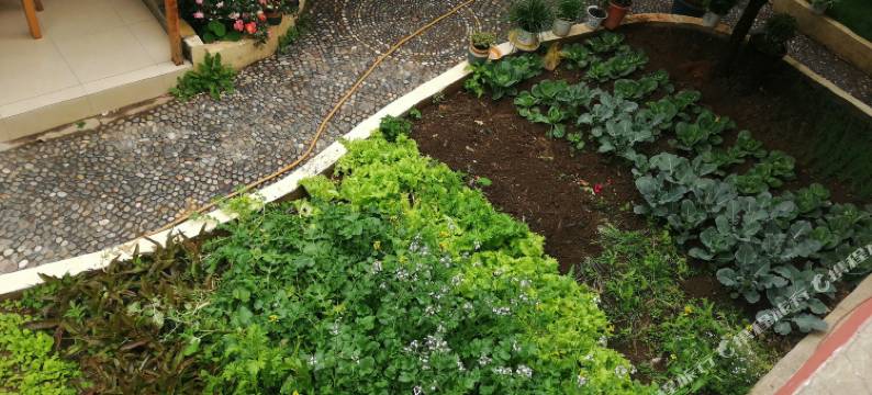 香格里拉国际青年旅舍图片