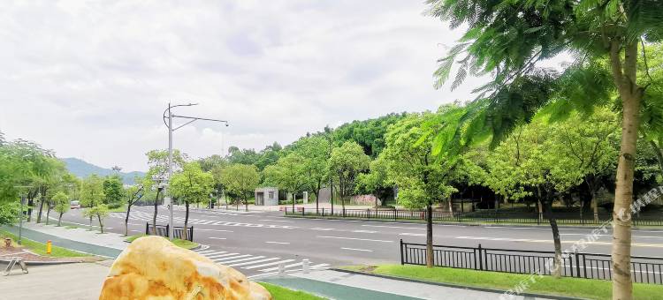 广州高新国羽木莲庄酒店图片