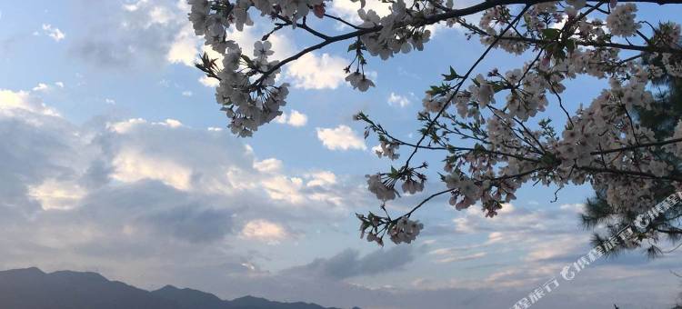 金凤凰商务宾馆(临海府城店)图片