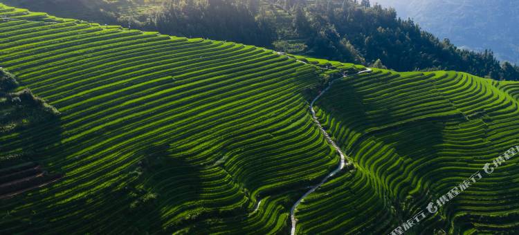 花筑·龙胜龙脊雲墅酒店(龙脊平安梯田七星伴月观景台店)图片