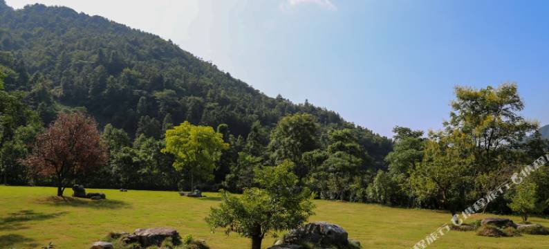 花筑·千岛湖白云山庄图片