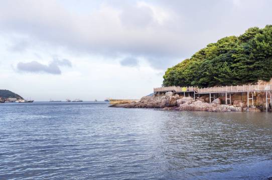 舟山白沙岛花开半夏民宿