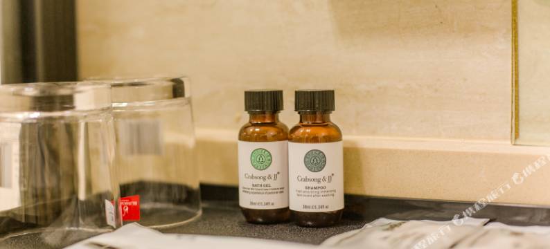 长沙银瑞酒店(洋湖湿地地铁站店)图片