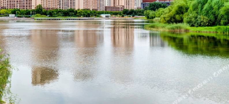 哈尔滨途掌柜117997精品民宿图片