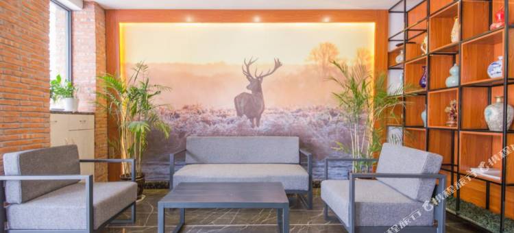 OYO苍南快乐商务宾馆图片