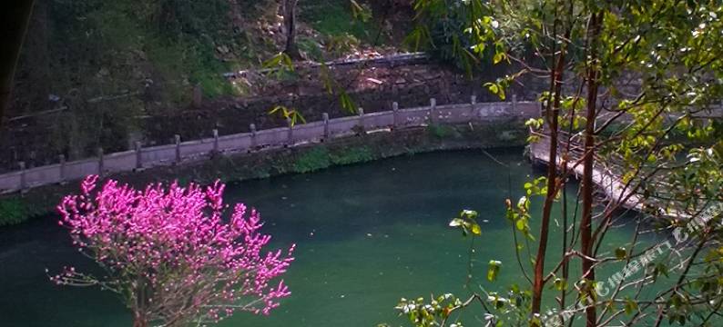 腾冲思齐居•百年古韵•和顺小墅(和顺古镇野鸭湖店)图片