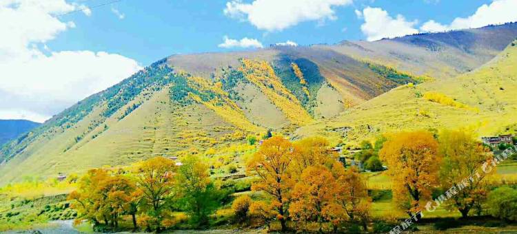 九龙首座商务酒店图片