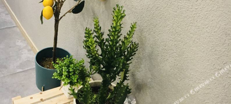 重庆映青涩客栈图片