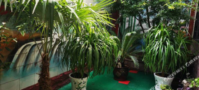 济南真如公寓图片