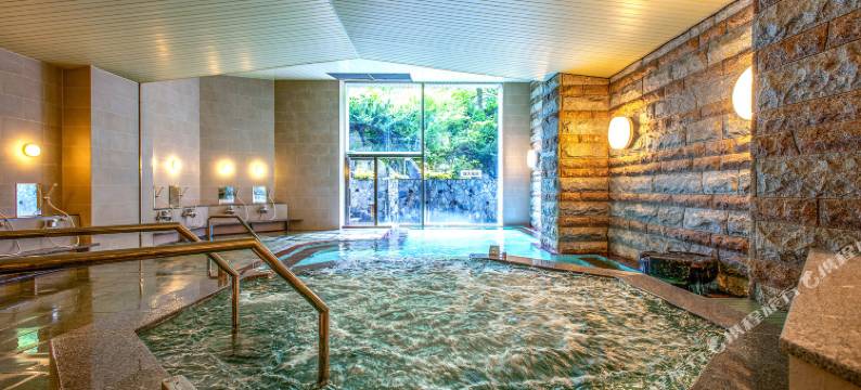 汤泽东映酒店(Yuzawa Toei Hotel)图片